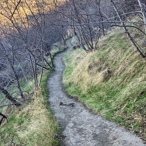 Meet your Posher, Chrisitne